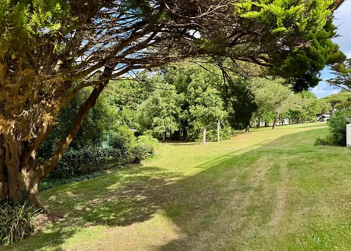 Terrasse, Piscine, Parking Confort Lejlighed *