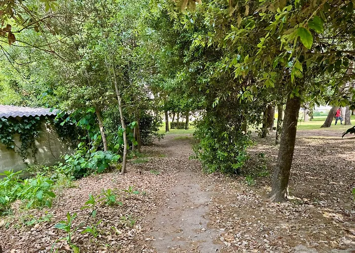 Lejlighed Terrasse, Piscine, Parking Confort *